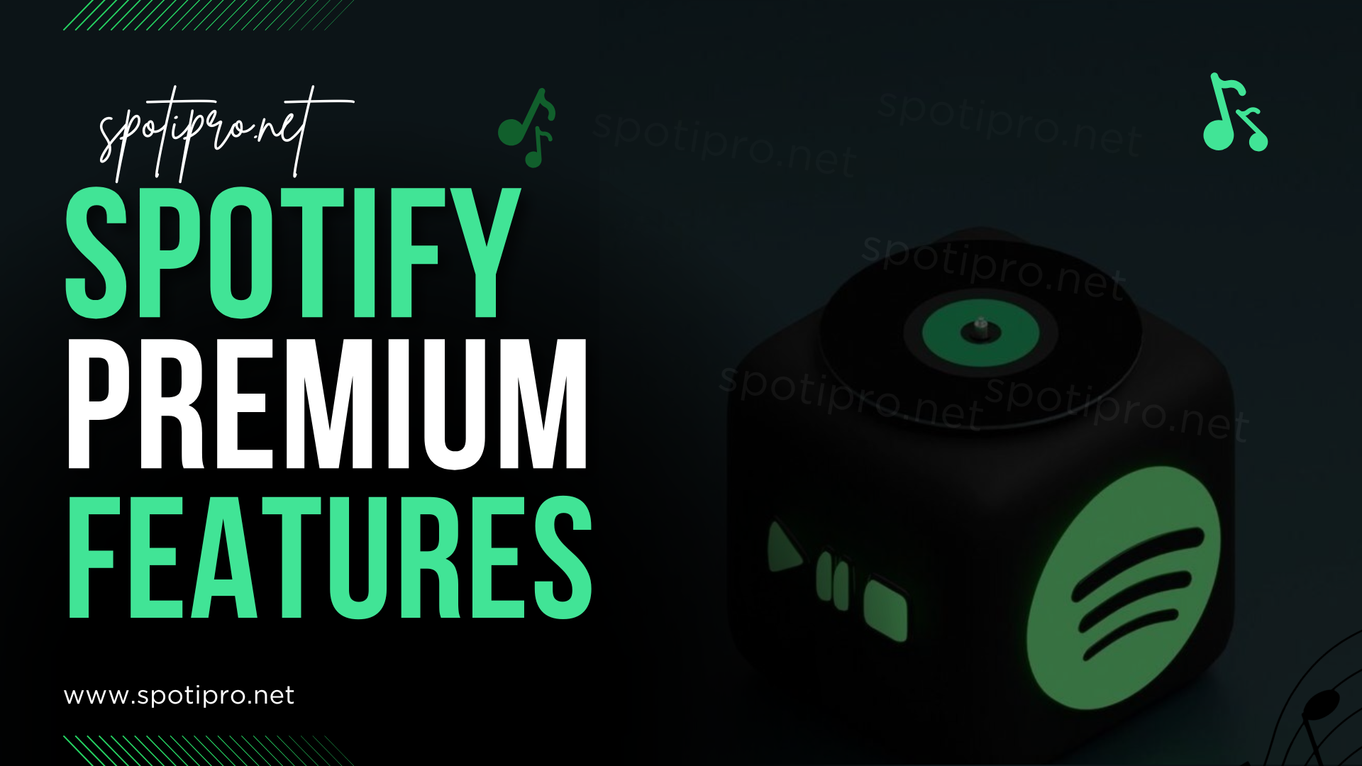 Spotify Premium Features Video - Spoti PRO